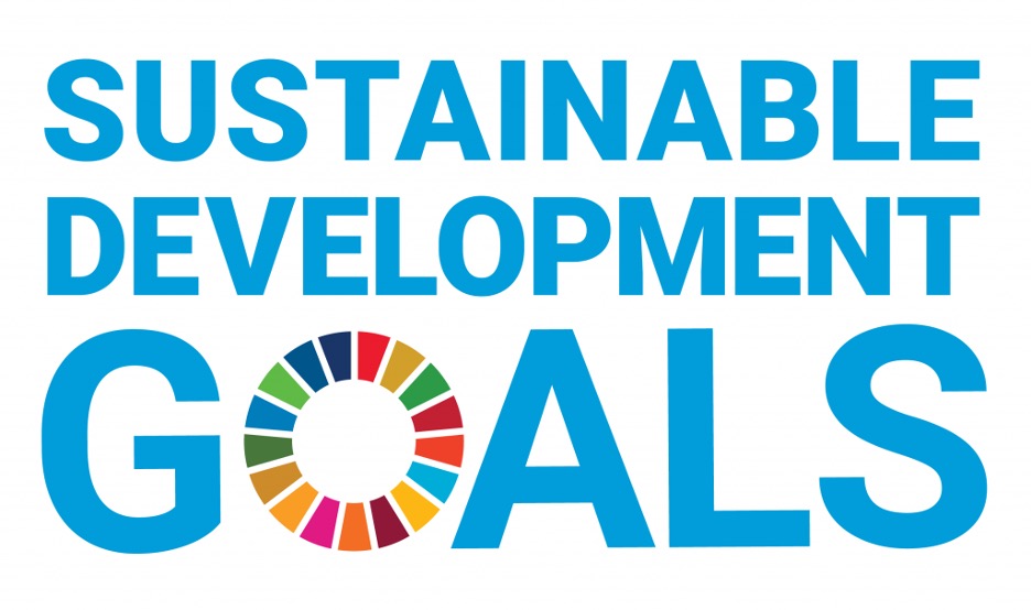 Sustainable Development Goals logo.